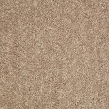 Shaw Floors Value Collections Expect More (s) Net Prairie Dust 00107_E0710