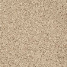 Shaw Floors Value Collections Go Big Net Soft Sand 00102_E0718