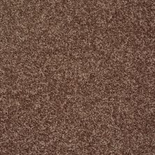 Shaw Floors Value Collections Go Big Net Saddle 00704_E0718