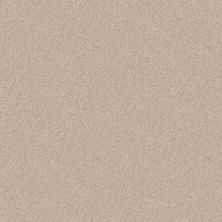 Shaw Floors Value Collections Dashing II 12 Net Alabaster