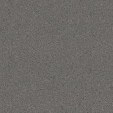 Shaw Floors Value Collections Dashing II 12 Net Silver Bay