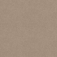 Shaw Floors Value Collections Dashing II 12 Net Dove