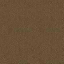 Shaw Floors Value Collections Dashing II 12 Net Driftwood