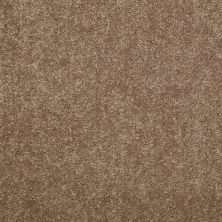 Shaw Floors Value Collections Dashing II 12 Net Candied Truffle
