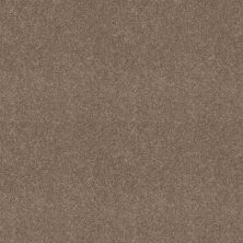 Shaw Floors Value Collections Dashing II 12 Net Taupe Mist