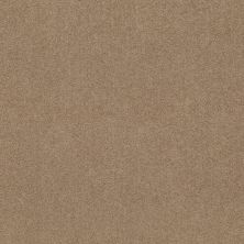 Shaw Floors Value Collections Dashing II 12 Net Dusty Trail