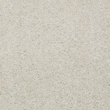 Shaw Floors Value Collections Dashing II 15 Net Alabaster