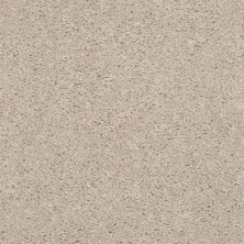 Shaw Floors Value Collections Dashing II 15 Net Cashmere