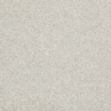 Shaw Floors Value Collections Dashing II 15 Net Taupe