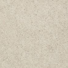 Shaw Floors Value Collections Dashing II 15 Net Vanilla Custard