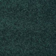 Shaw Floors Value Collections Dashing II 15 Net Polo