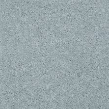 Shaw Floors Value Collections Dashing II 15 Net Silver Bay