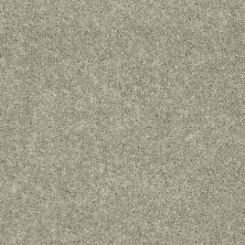 Shaw Floors Value Collections Dashing II 15 Net Plaster