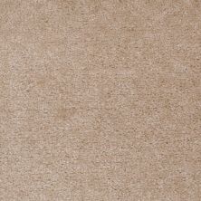 Shaw Floors Value Collections Cascade II Net Fawn’s Leap 00773_E0786
