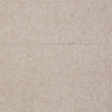 Shaw Floors Value Collections Atherton Net Basic Beige