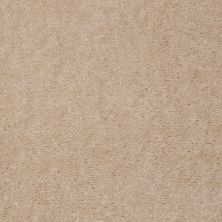 Shaw Floors Value Collections Atherton Net Tea Stain