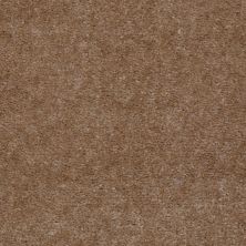 Shaw Floors Value Collections Atherton Net Tudor Brown
