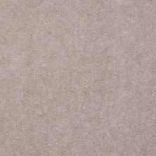 Shaw Floors Value Collections Hawkeye Net Buffed Suede
