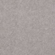 Shaw Floors Value Collections Hawkeye Net Quick Silver