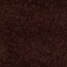 Shaw Floors Value Collections Hawkeye Net Tree Bark