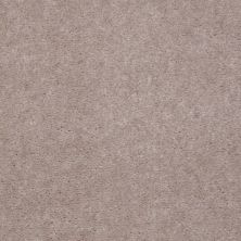 Shaw Floors Value Collections Blazer II Net Smokey Birch