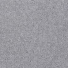 Shaw Floors Value Collections Blazer II Net Pewter Plate