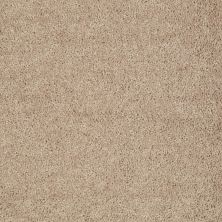 Shaw Floors Value Collections All Star Weekend I 12 Net Tassel 00107_E0792