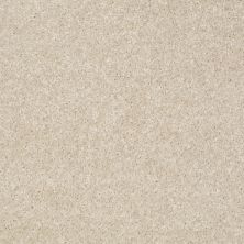 Shaw Floors Value Collections Victory Net Stucco 00105_E0794