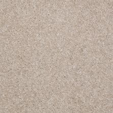 Shaw Floors Value Collections Victory Net Sahara 00140_E0794