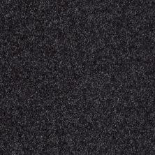 Shaw Floors Value Collections Victory Net Indigo 00433_E0794