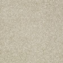 Shaw Floors Value Collections Victory Net Stainless 00530_E0794