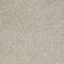 Shaw Floors Value Collections Victory Net Loft 00540_E0794