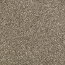 Shaw Floors Value Collections Victory Net Calming 00541_E0794