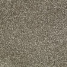 Shaw Floors Value Collections Victory Net Folkstone 00543_E0794