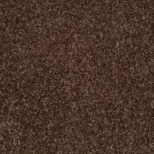 Shaw Floors Value Collections Victory Net Bedford Brown 00733_E0794