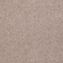 Shaw Floors Value Collections Footwork Net Parchment