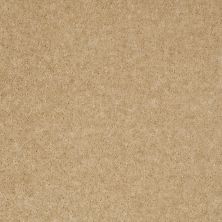 Shaw Floors Value Collections Footwork Net Boardwalk