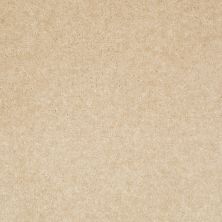 Shaw Floors Value Collections Footwork Net Tea Stain