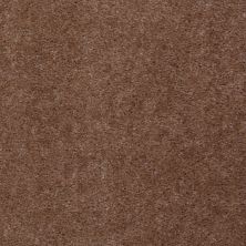 Shaw Floors Value Collections Footwork Net Tudor Brown