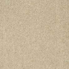 Shaw Floors Value Collections Max Appeal Net Stone House 00104_E0796