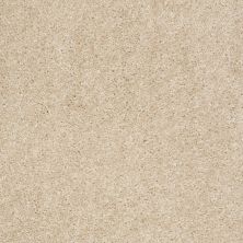 Shaw Floors Value Collections Max Appeal Net Venetian Tile 00106_E0796