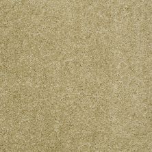 Shaw Floors Value Collections Max Appeal Net Spring Green 00300_E0796