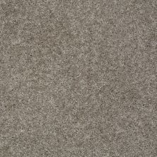 Shaw Floors Value Collections Max Appeal Net Pewter 00513_E0796