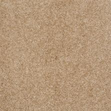 Shaw Floors Value Collections Max Appeal Net Thornwood 00700_E0796