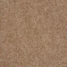 Shaw Floors Value Collections Max Appeal Net Fawns Leap 00702_E0796