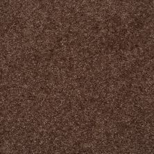 Shaw Floors Value Collections Max Appeal Net Rustic Retreat 00703_E0796