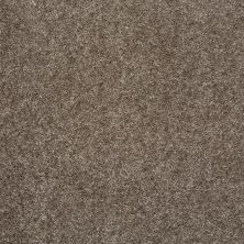 Shaw Floors Value Collections Max Appeal Net Graphite 00712_E0796