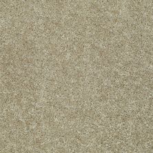 Shaw Floors Value Collections Play Hard Net Taupe Stone 00700_E0797