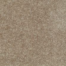 Shaw Floors Value Collections Play Hard Net Mocha Froth 00702_E0797