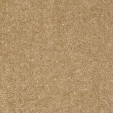 Shaw Floors Value Collections Sprinter Net Tree Trunk 00105_E0800